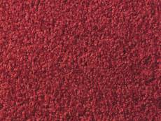 Tapis anti-poussière en polyamide coloris rouge -