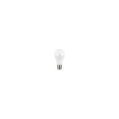 Ampoule LED GLS 14.5W - 1921lm - E27 - ILGLSE27NC097
