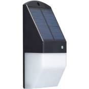 Applique solaire avec détecteur de mouvement (350 Lm)- Noir - Noir