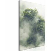 Artgeist - Tableau Foggy Amazon Vertical - 60 x 90