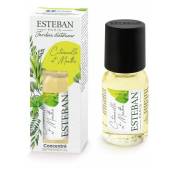 Esteban-paris - concentré de parfum pour diffuseurs