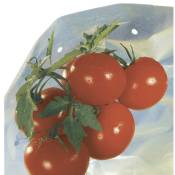 Nortene - Housse de croissance tomate Tomatotube en