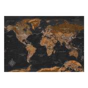 Papier peint carte du monde world: stylish map 350x245