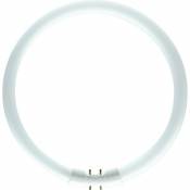 Osram tube fluorescent circulaire - osram lumilux t5 - 22 watts - 2gx13 - 3000k