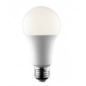 Ampoule LED E27 14W A65 1400 lumens - Blanc Neutre