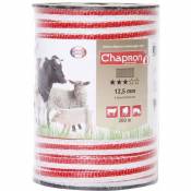 Chapron Lemenager - Ruban de clôture 12,5 mm 200 blanc / rouge