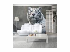 Papier peint tigre du bengale au zoo l 200 x h 154 cm A1-LFTNT1023