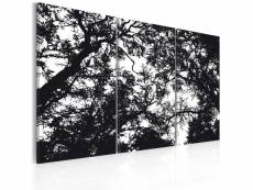 Paris prix - tableau imprimé "forêt dense" 60 x 90 cm