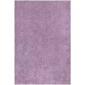 Tapis à Poils Longs doux Softy Tapis de Salon, Chambre, Couloir (Violet de Parme - 120x170cm)
