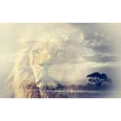 Hxadeco - Affiche animaux reflet du roi lion - 60x40cm