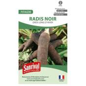 Sanrival - Graines radis noir gros long d'hiver