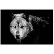 Hxadeco - Affiche Loup close up - 60x40cm - made in