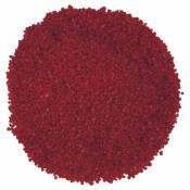 Jardinex - Gravier décoratif coloré 2/4mm (Pot 1kg) - Rouge Carmin - Rouge Carmin