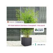 Leaderplantcom - Kit Bambou Fargesia Campbell en pot de 10L avec bac carré et les accessoires de plantation
