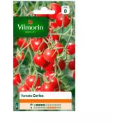 Multitanks - Sachet de graines Tomate cerise Vilmorin