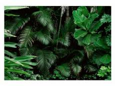Papier peint intissé panoramique jungle forêt feuilles nature 416x254 cm chambre salon photo non tissé muraux trompe l'oei