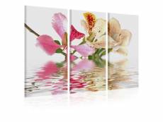 Paris prix - tableau imprimé "orchid with colorful spots" 80 x 120 cm
