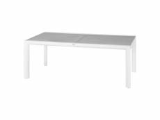 Table de jardin extensible titanium - 12 personnes - gris perle et blanc