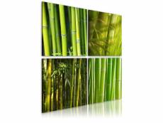 Tableau - bambous 60x60 cm