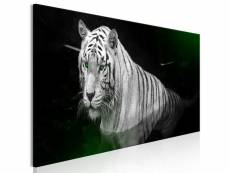 Tableau shining tiger 1 pièce green narrow taille 135 x 45 cm PD8508-135-45