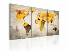 Tableau sur toile en 3 panneaux décoration murale image imprimée cadre en bois à suspendre continents jaunes 120x60 cm 11_0003786