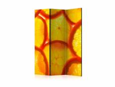 Paravent 3 volets - orange slices [room dividers] A1-PARAVENTtc0670
