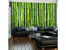 Paris prix - papier peint "mur vert bambou" 309 x 400