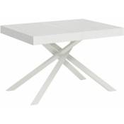 Table extensible 120X80/204cm Karida Frêne Blanc cadre Blanc