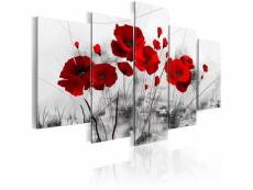 Tableau fleurs coquelicots - rouge miracle taille 100