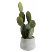 Paris Prix - Plante Artificielle En Pot cactus 49cm Vert & Gris