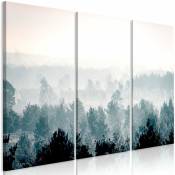 Décoshop26 - Tableau sur toile en 3 panneaux décoration murale image imprimée cadre en bois à suspendre Forêt d'hiver (3 parties) 120x80 cm
