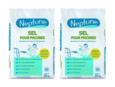 Lot de 2 sacs de sel de piscine 25 kg - Neptune
