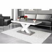 Table basse design 120 cm x 60 cm x 49 cm - Gris -