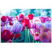 Tableau bois parmi les tulipes - 40 x 30 cm - Rose