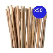 50 x Tuteur en Bambou 100 cm, 8-10 mm. Baguettes de
