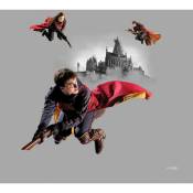 Ag Art - Coussin - Harry Potter sur son balais - 40 cm x 40 m
