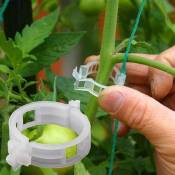 Ahlsen - 100PCS Plant Support Clips de Jardin Tomate