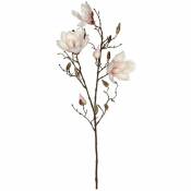 Magnolia Couleur Rose 88 Cm