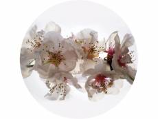 Papier peint panoramique rond adhésif fleurs blanc et rose - 601130 - ø 140 cm 601130