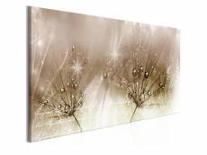 Paris prix - tableau imprimé "drops of dew brown wide" 45x100cm