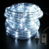 SWANEW Tube Lumineux Extérieur LED Guirlande Lumineuse Décoration et Adapteur d’alimentation Blanc froid-20M - Blanc froid