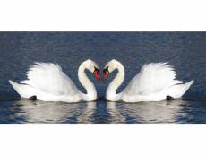 Swans, photo murale, 202 x 90 cm, 1 part
