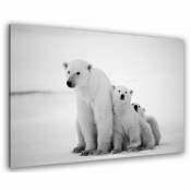 Tableau animaux ours blanc et ses petits - 80x50 cm