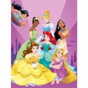 Grande Carte Princesses Disney - 23 X 30,5 Cm -