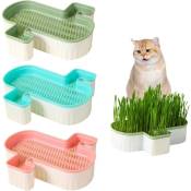 Jardinière d'herbe à chat, kit d'herbe à chat de