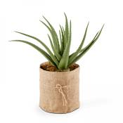 Plante artificielle avec pot Aloe Vera, hauteur 43 cm vert