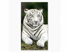 "serviette de plage tigre blanc 90x170"