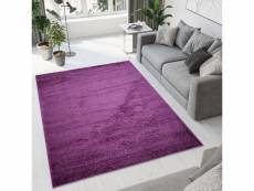 Tapiso tapis salon chambre shaggy delhi violet unicolore