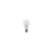 Ampoule LED Energy Smart GLS PRO 9W 810lm 2700K E27