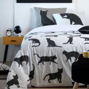 Parure de lit aux impressions de chat - Noir - 240 x 220 cm